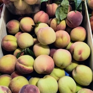 1000039097 Frutta di Stagione